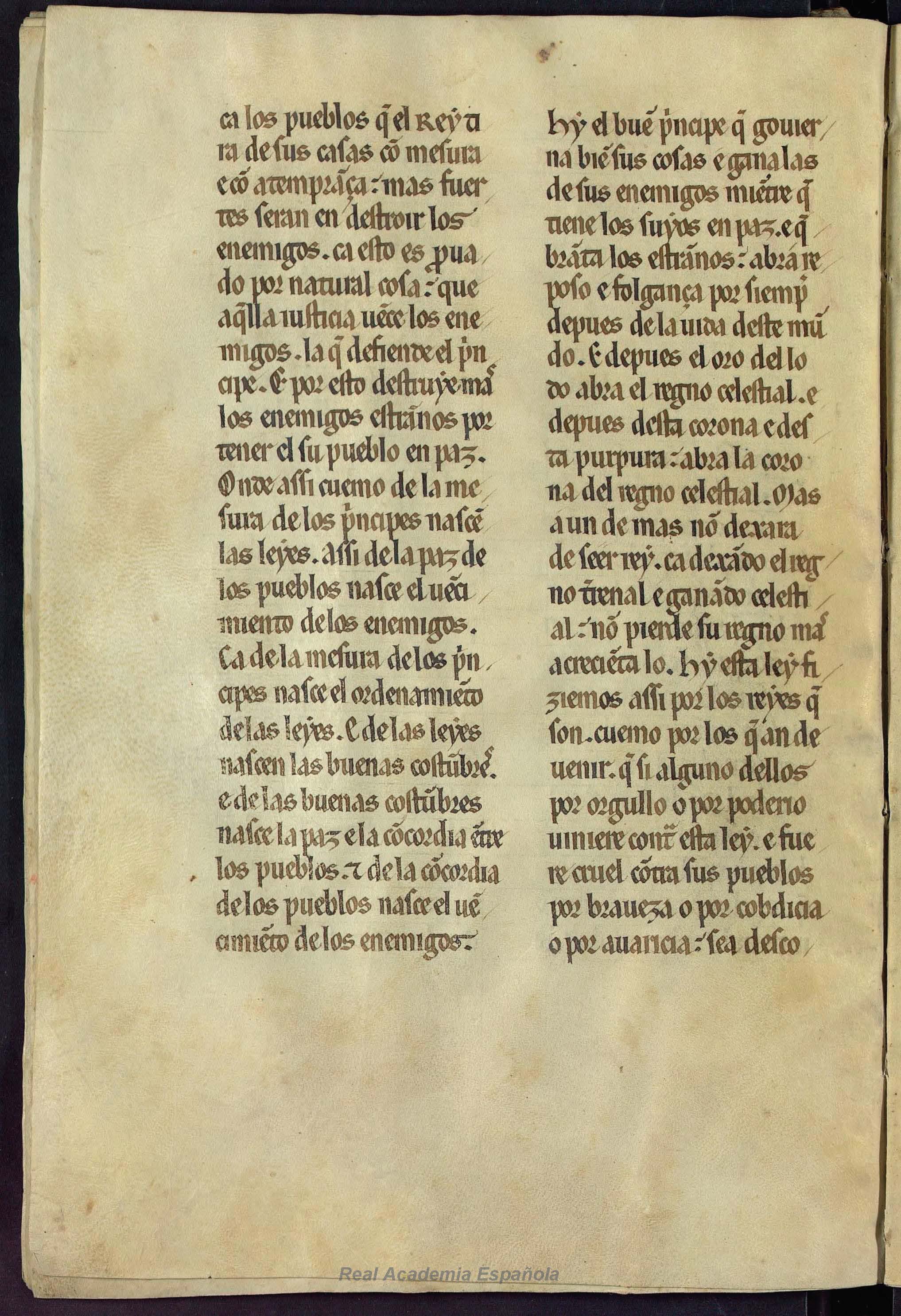 Folio 020 — RAE 54, Titulus primus