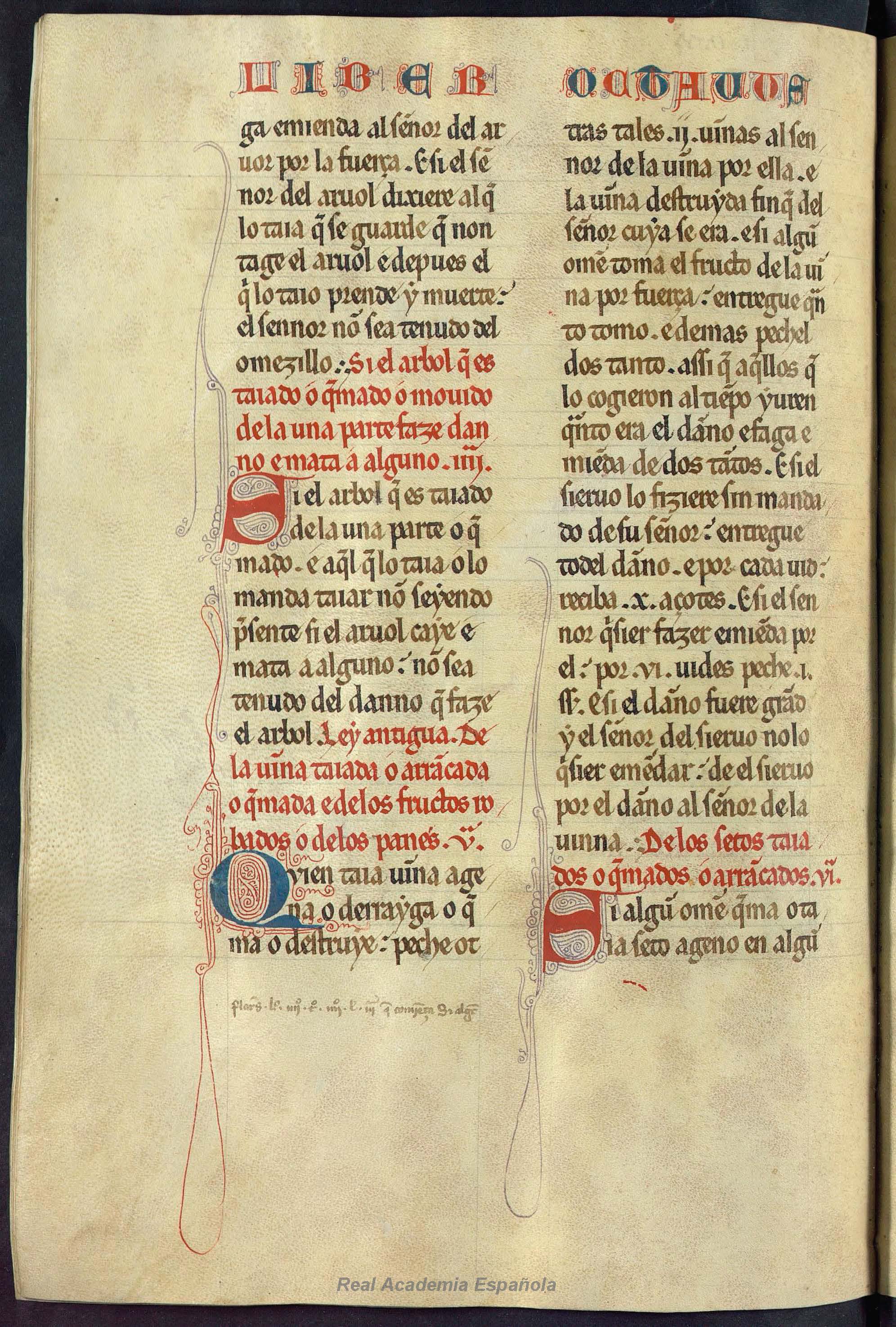 Folio 320 — RAE 54, Libro 8