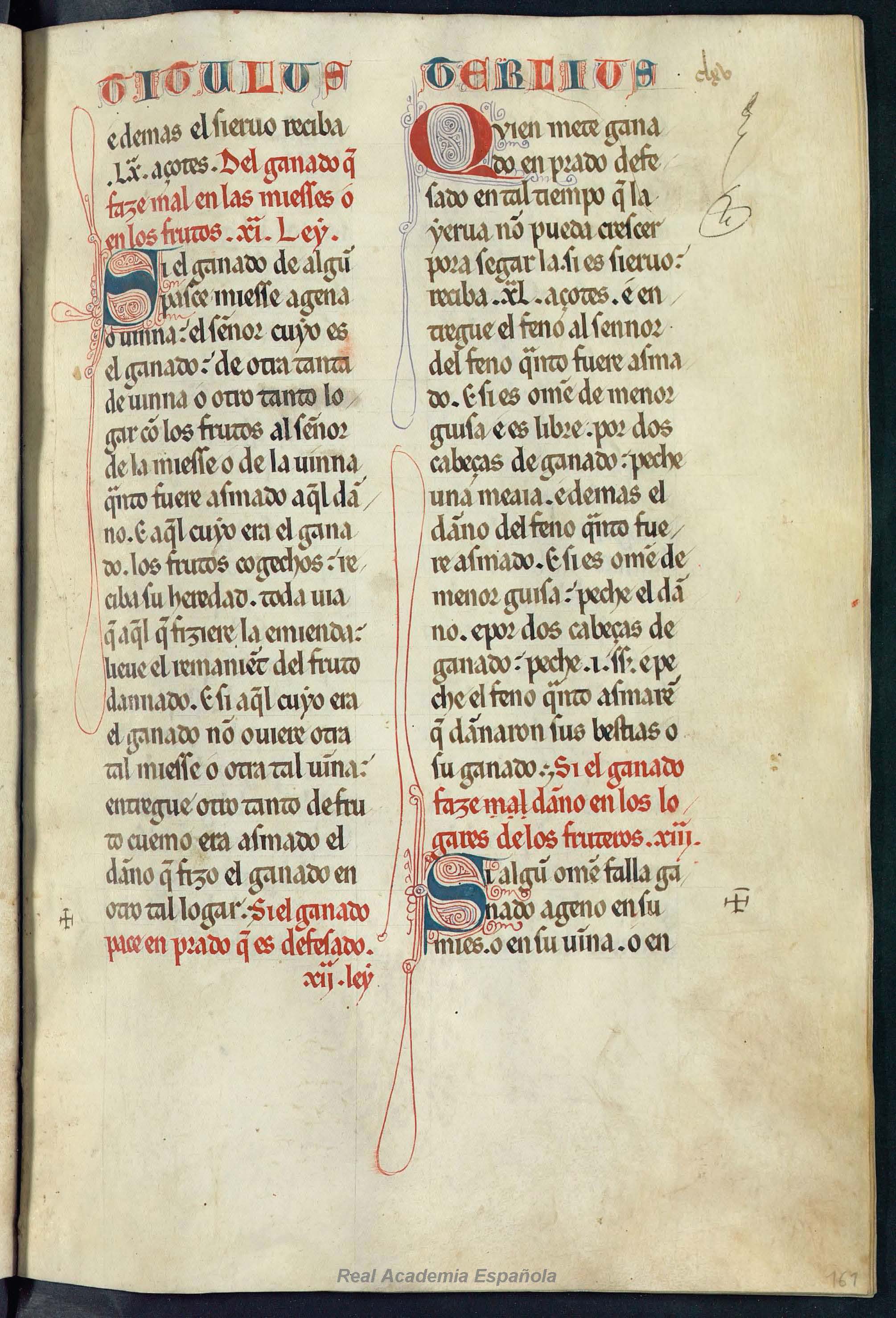 Folio 323 — RAE 54, Libro 8